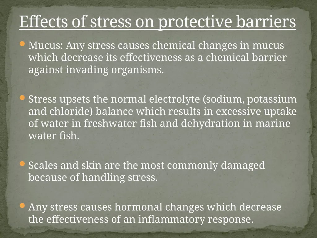 Presented by:- Mr. Bhartendu vimal Guest - slide 20 of 24