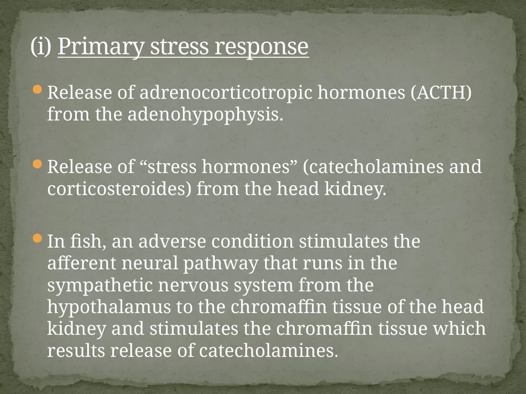 Presented by:- Mr. Bhartendu vimal Guest - slide 8 of 24
