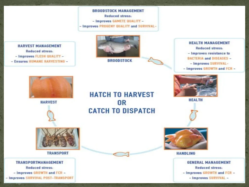 Presented by:- Mr. Bhartendu vimal Guest - slide 23 of 24