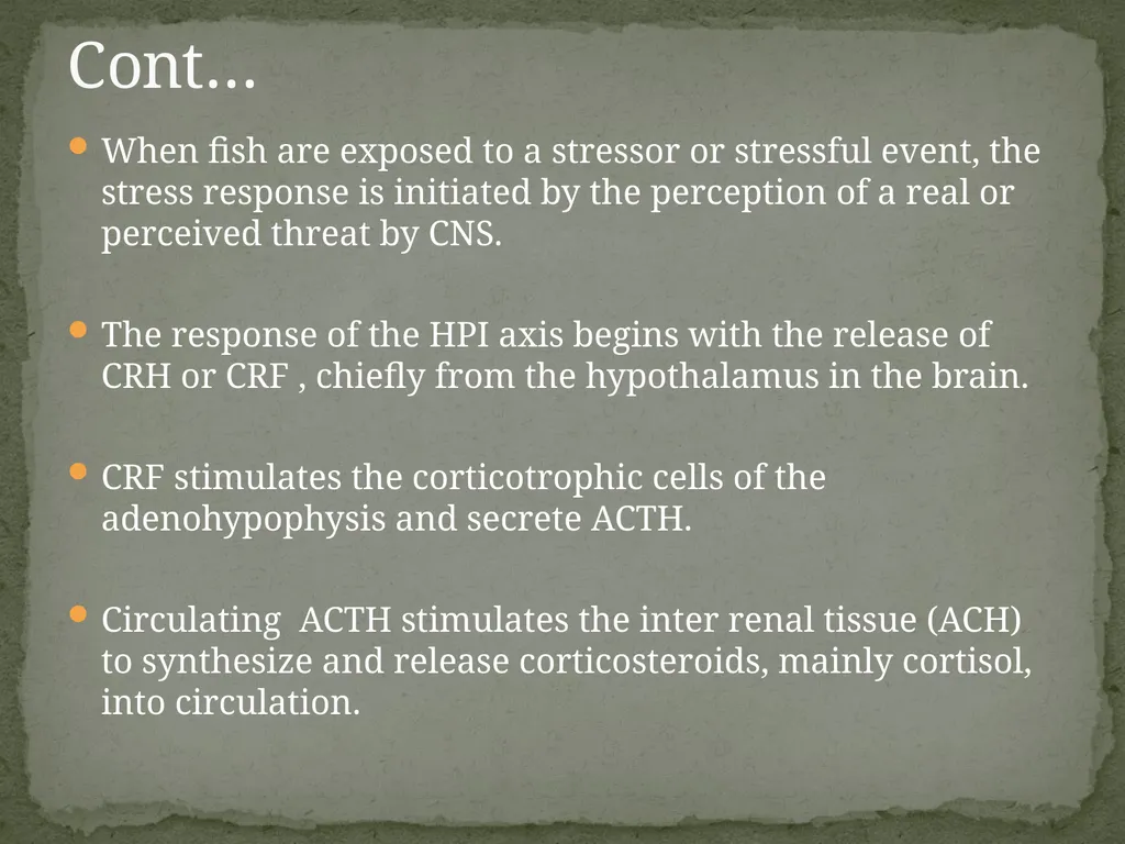 Presented by:- Mr. Bhartendu vimal Guest - slide 18 of 24