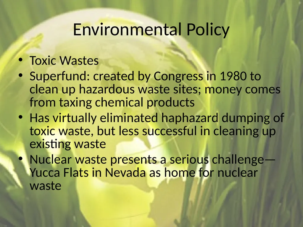 Economic Policymaking Chapter 17 Economic Policy - slide 24 of 31