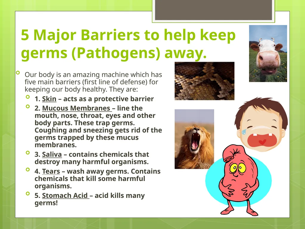 Communicable and Non-Communicable Diseases Let’s - slide 10 of 24