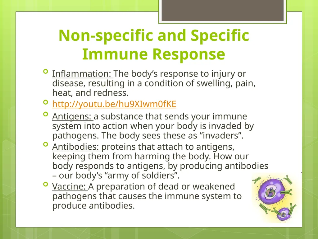 Communicable and Non-Communicable Diseases Let’s - slide 11 of 24