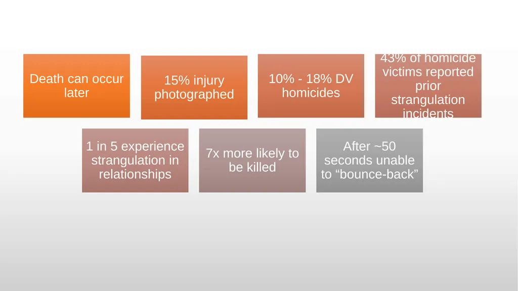 Domestic Violence and Police Response police - slide 109 of 132