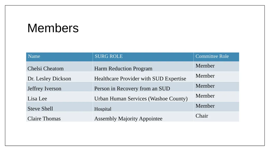 Statewide Substance Use Response Working Group - slide 24 of 60