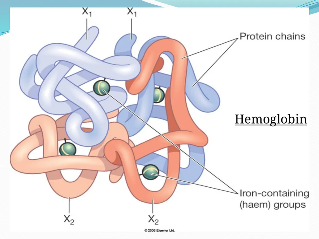 DEVIATION FROM HEALTH AND THE IMMUNE System - slide 43 of 50