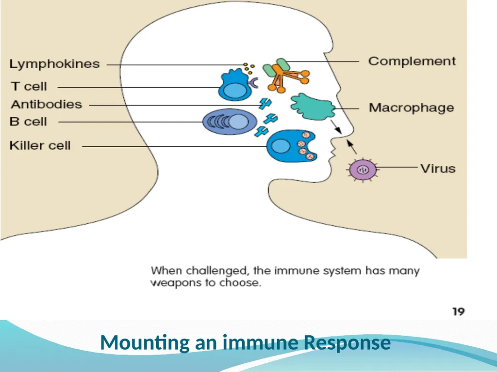 DEVIATION FROM HEALTH AND THE IMMUNE System - slide 30 of 50