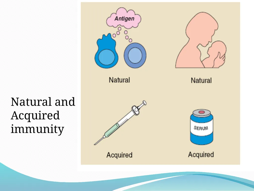 DEVIATION FROM HEALTH AND THE IMMUNE System - slide 31 of 50