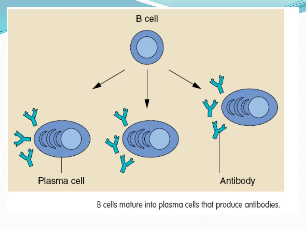 DEVIATION FROM HEALTH AND THE IMMUNE System - slide 25 of 50