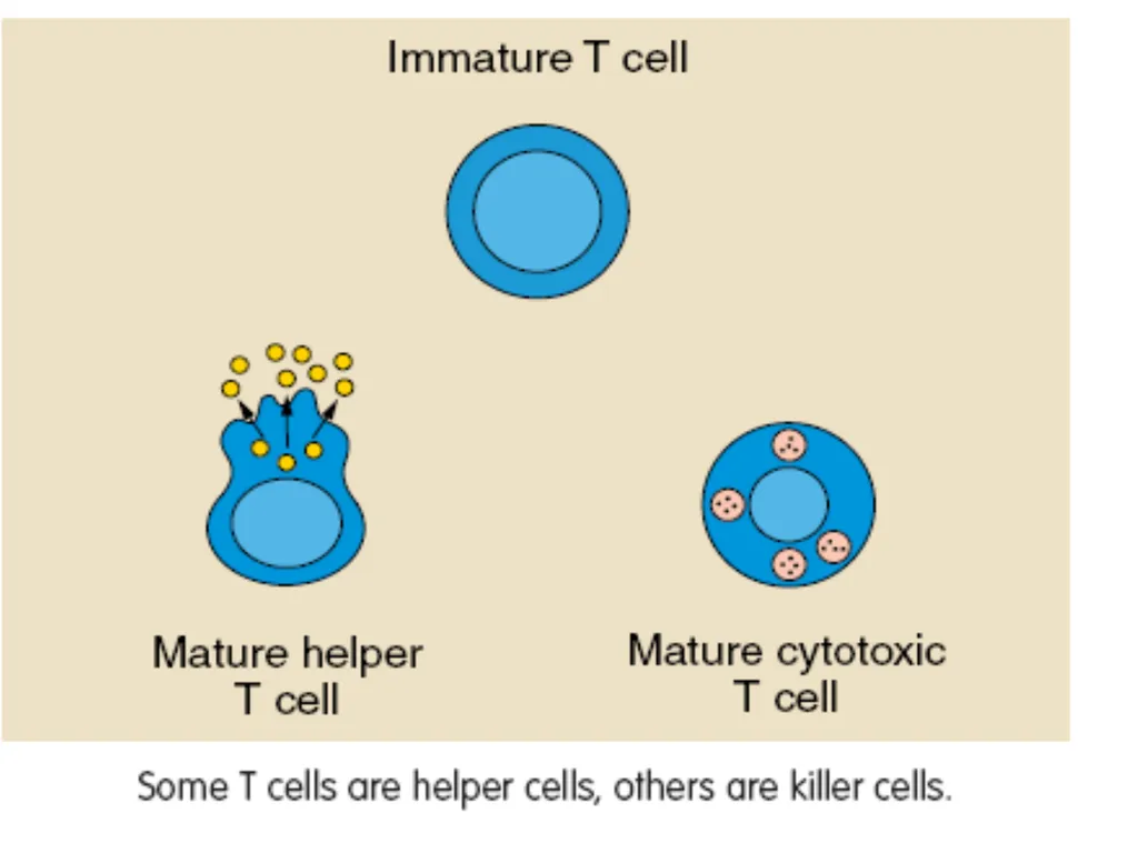 DEVIATION FROM HEALTH AND THE IMMUNE System - slide 26 of 50