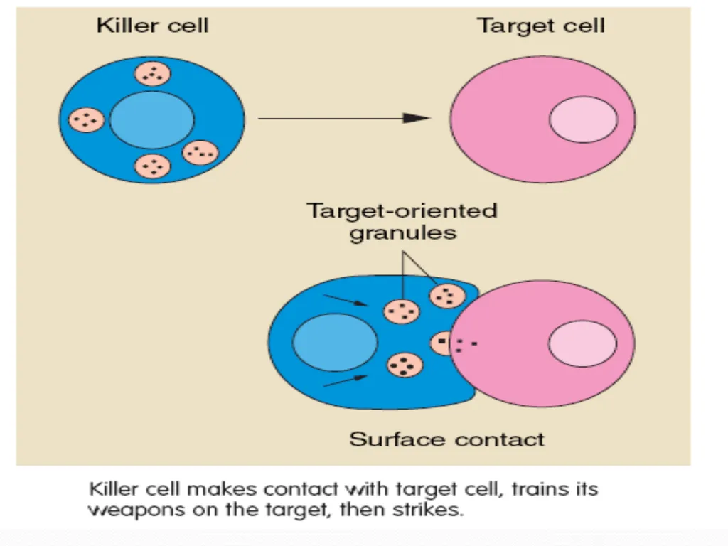 DEVIATION FROM HEALTH AND THE IMMUNE System - slide 27 of 50