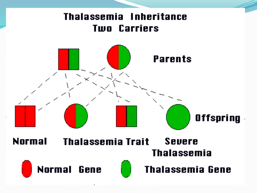 DEVIATION FROM HEALTH AND THE IMMUNE System - slide 41 of 50