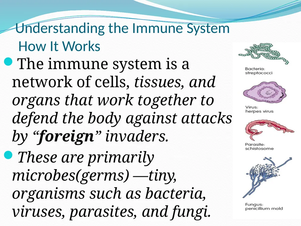 DEVIATION FROM HEALTH AND THE IMMUNE System - slide 11 of 50