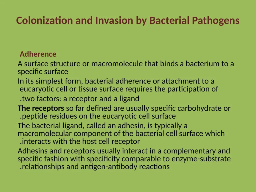 Medical microbiology Medical microbiology is a - slide 18 of 33