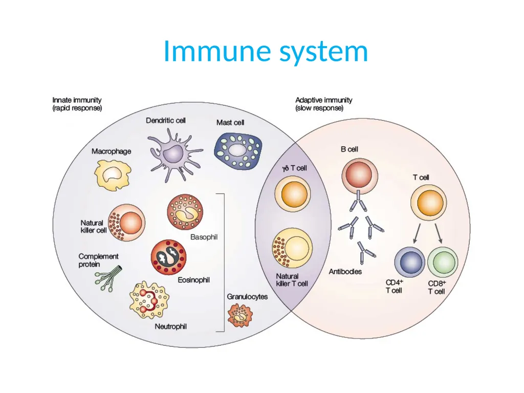 Medical microbiology Medical microbiology is a - slide 27 of 33