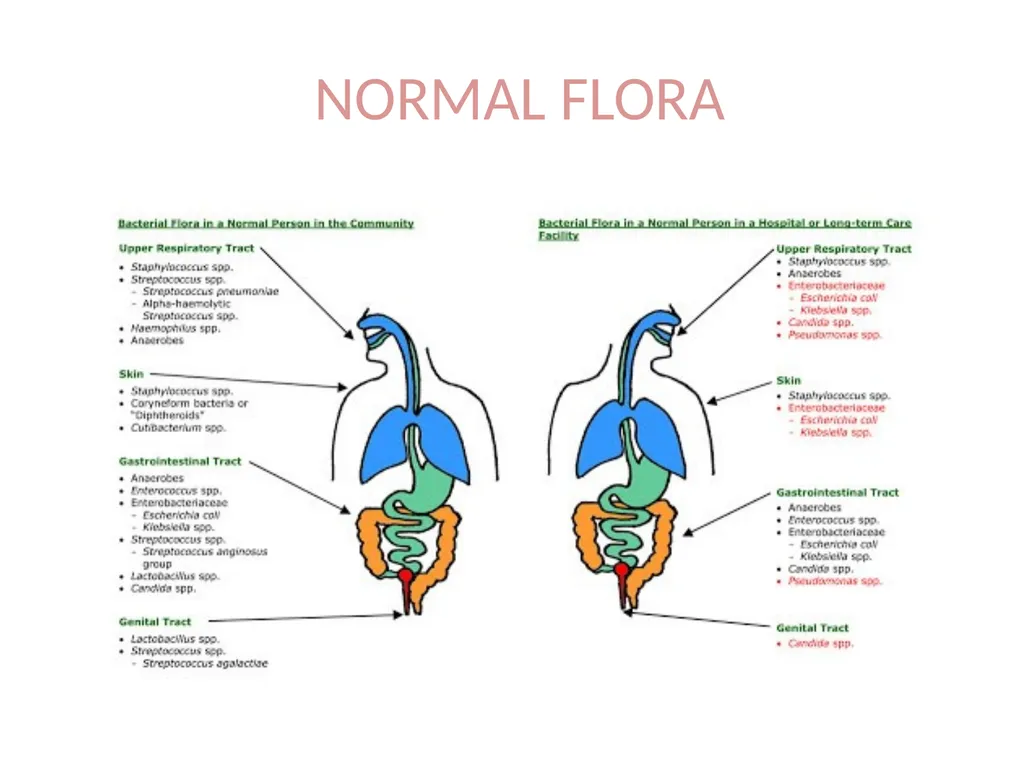 Medical microbiology Medical microbiology is a - slide 8 of 33