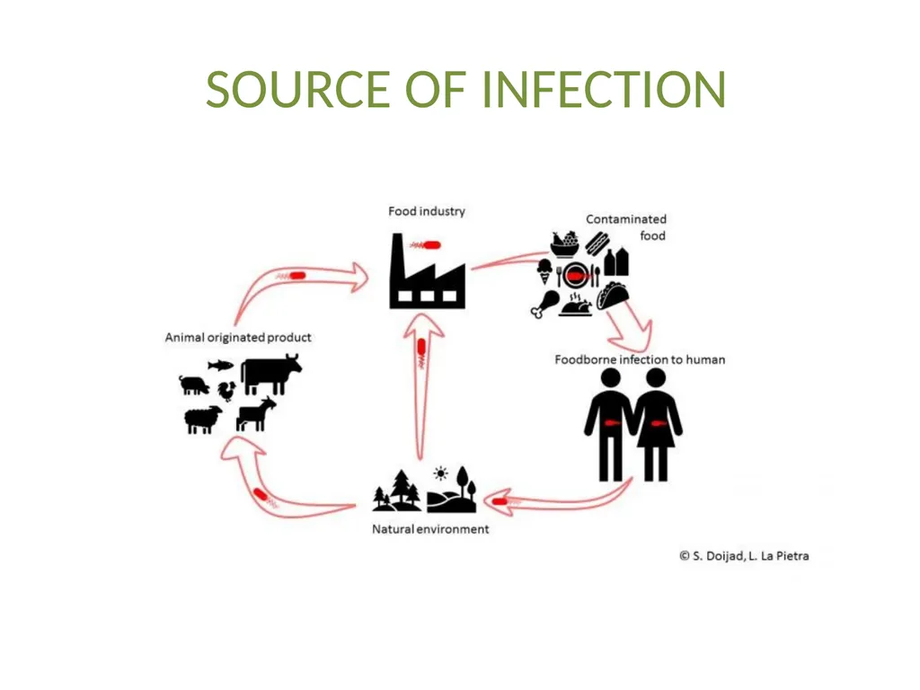 Medical microbiology Medical microbiology is a - slide 10 of 33