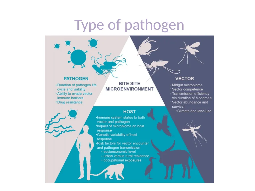 Medical microbiology Medical microbiology is a - slide 4 of 33