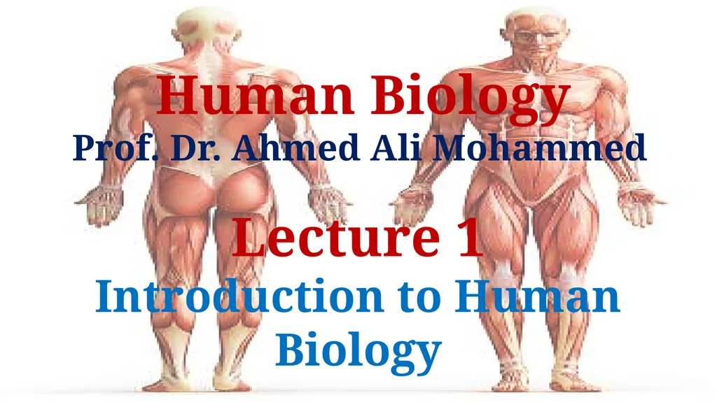 Human Biology Prof. Dr. Ahmed Ali Mohammed Lecture