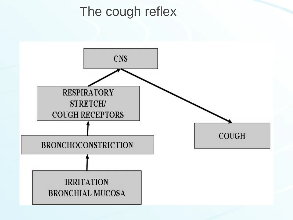 Respiratory System Pharmacology Akinluyi E.T. - slide 6 of 43