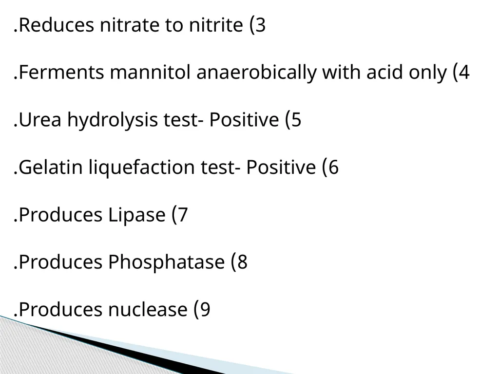 STAPHYLOCOCCUS Staphylococci are : -Gram positive - slide 9 of 42
