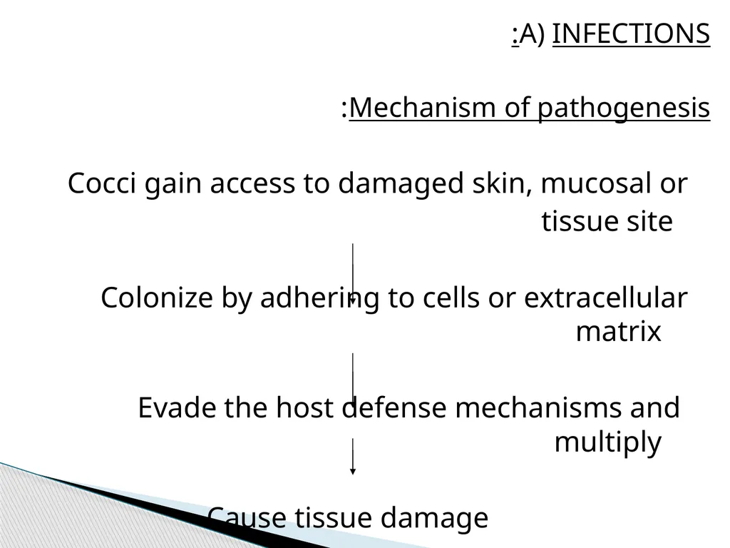 STAPHYLOCOCCUS Staphylococci are : -Gram positive - slide 18 of 42