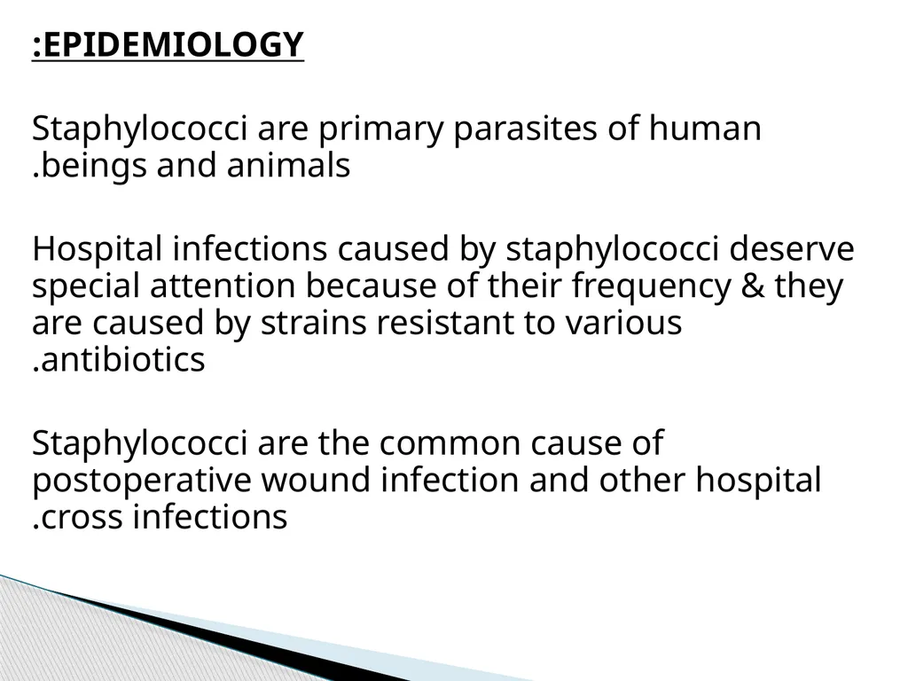 STAPHYLOCOCCUS Staphylococci are : -Gram positive - slide 36 of 42