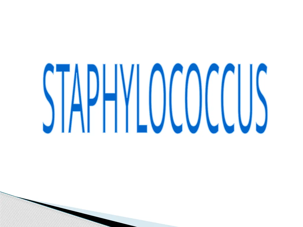 STAPHYLOCOCCUS Staphylococci are : -Gram positive - slide 1 of 42