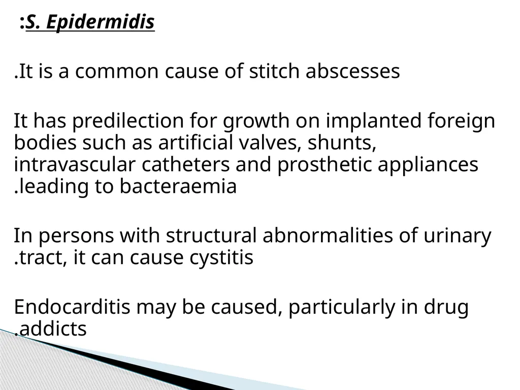STAPHYLOCOCCUS Staphylococci are : -Gram positive - slide 39 of 42