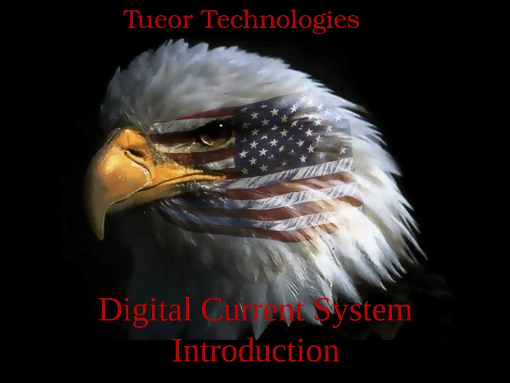 WINS Tueor Technologies Digital Current System - slide 1 of 63