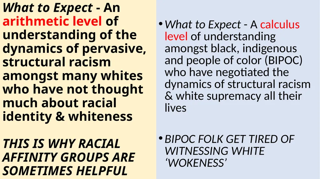 Preparing to Talk About Race Stephen Brookfield - slide 10 of 22