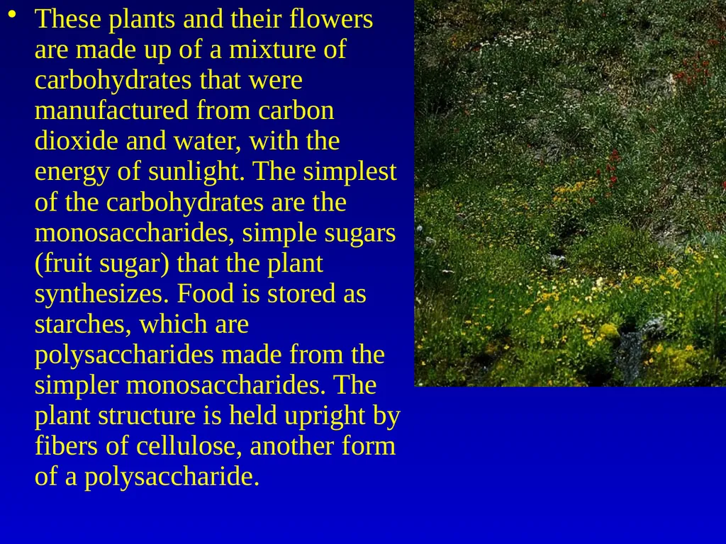 Organic Chemistry Refinery and tank storage - slide 50 of 60