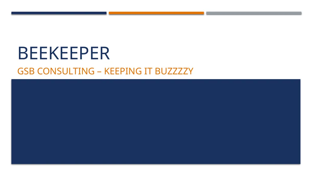 BEEKEEPER GSB Consulting – keeping it buzzzzy - slide 1 of 36