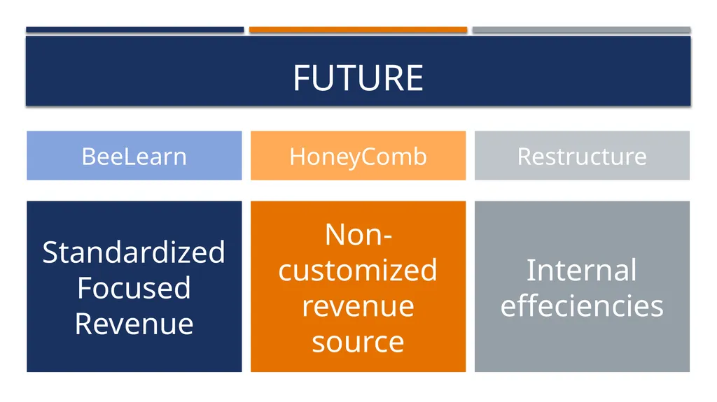 BEEKEEPER GSB Consulting – keeping it buzzzzy - slide 29 of 36