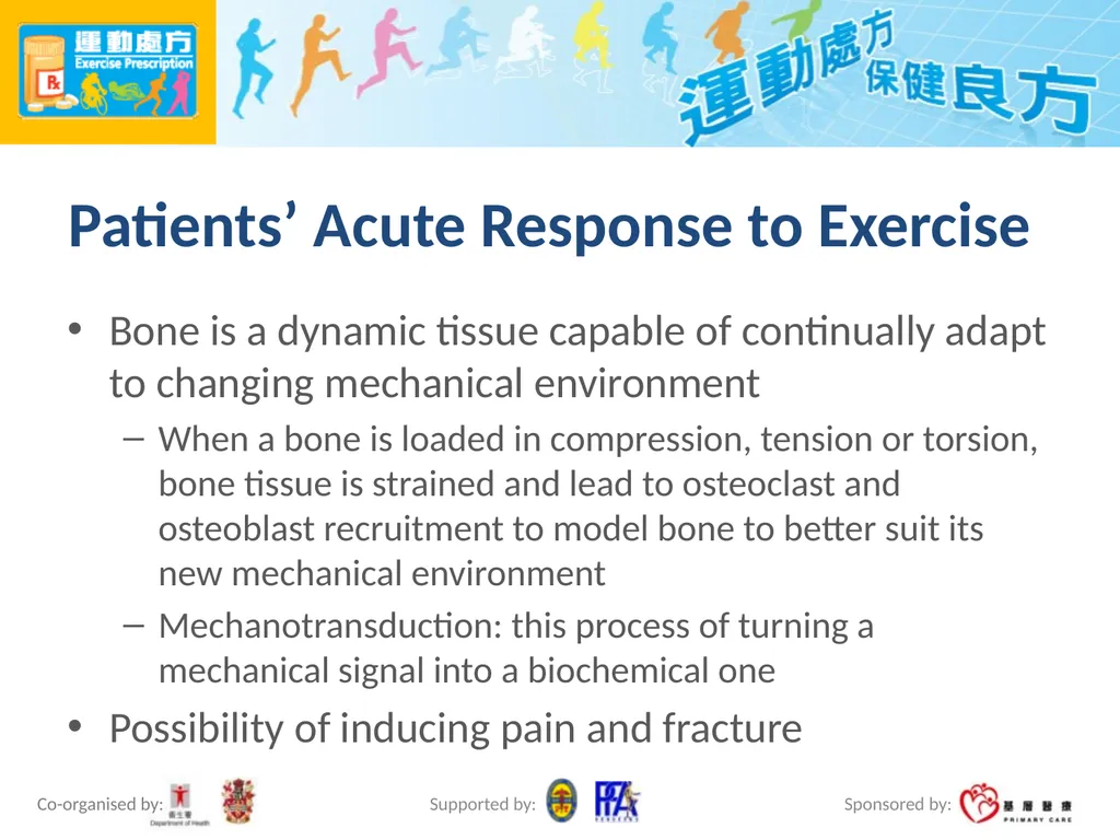 Exercise Prescription Certificate Course (2014/15) - slide 62 of 99