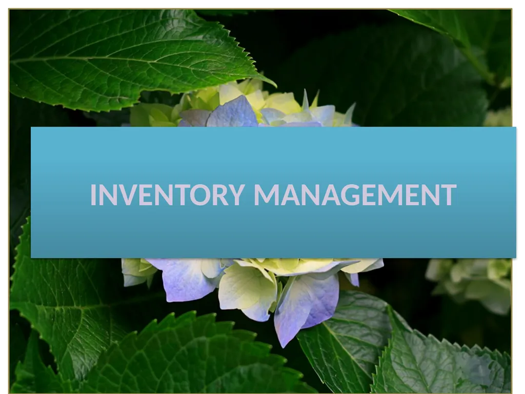 INVENTORY MANAGEMENT MEANING OF INVENTORY - slide 1 of 25