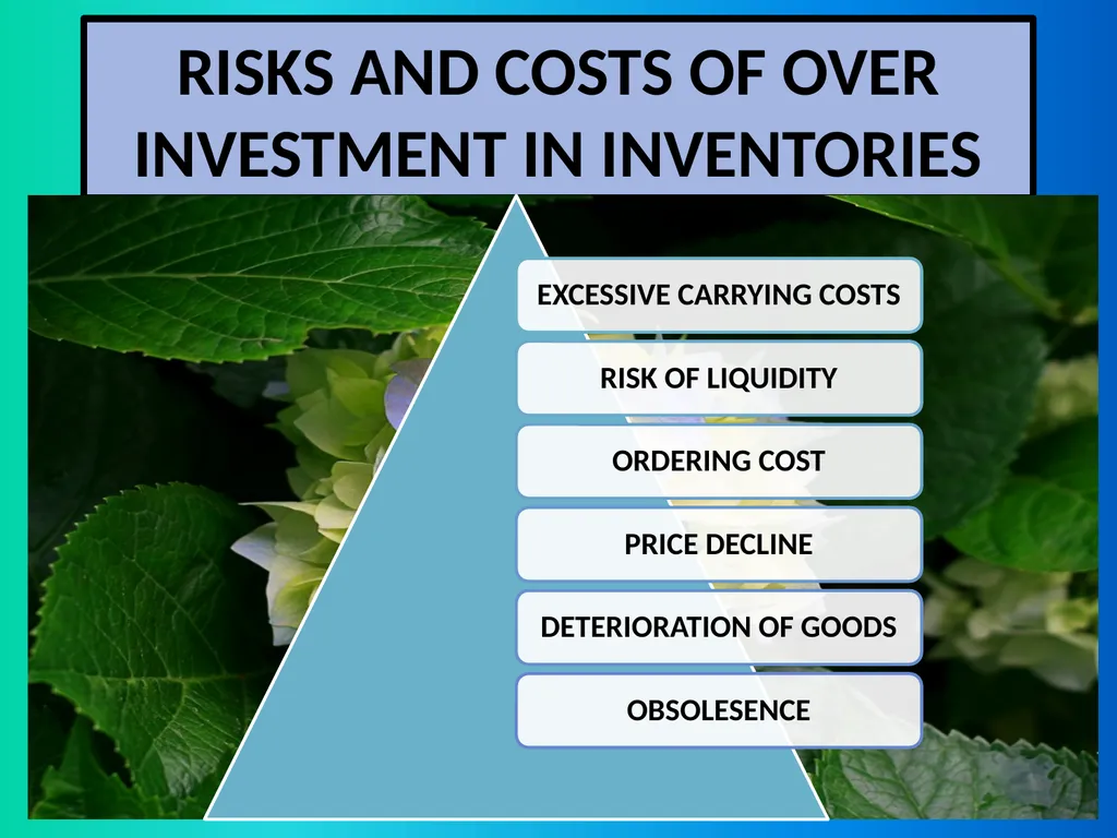 INVENTORY MANAGEMENT MEANING OF INVENTORY - slide 12 of 25