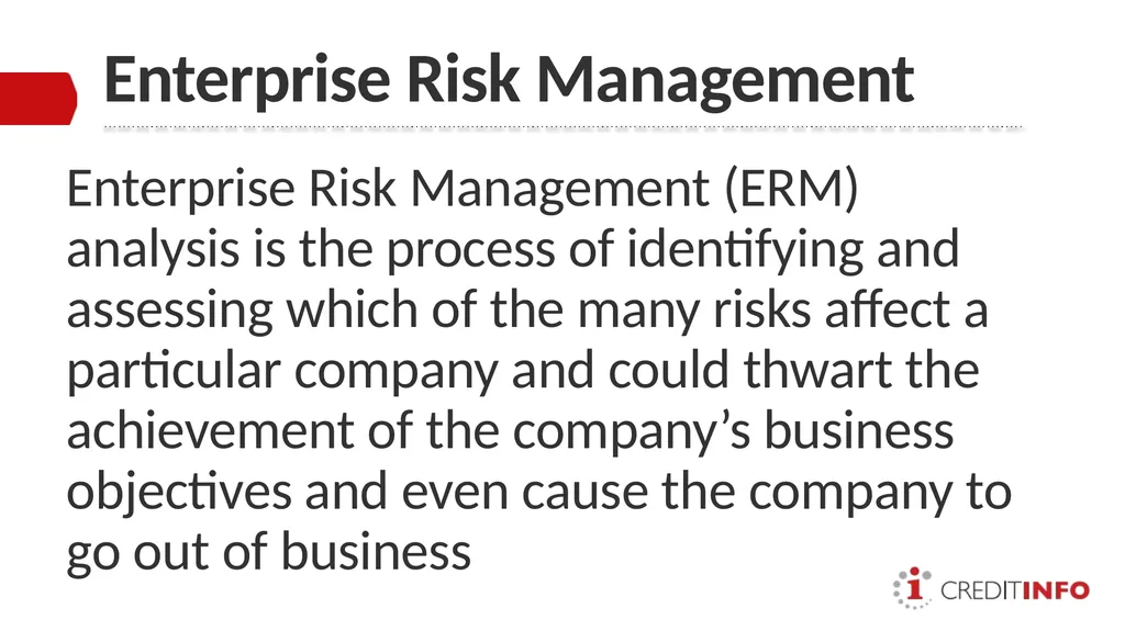 ENTERPRISE RISK MANAGEMENT PRESENTATION TO THE - slide 6 of 20