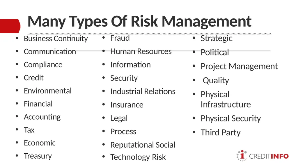 ENTERPRISE RISK MANAGEMENT PRESENTATION TO THE - slide 5 of 20