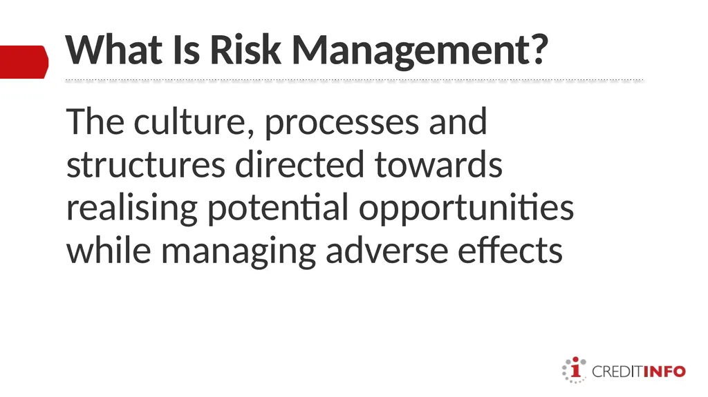 ENTERPRISE RISK MANAGEMENT PRESENTATION TO THE - slide 2 of 20