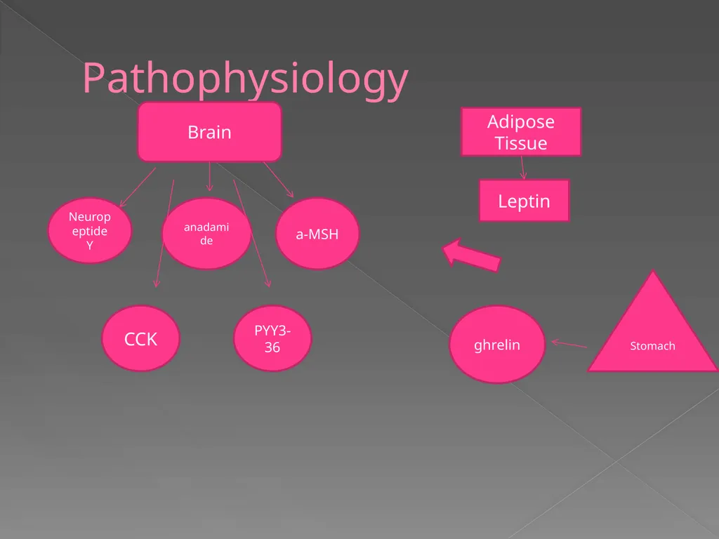 Anti-Obesity Drugs Aaron Cheatham Fat is just what - slide 20 of 32
