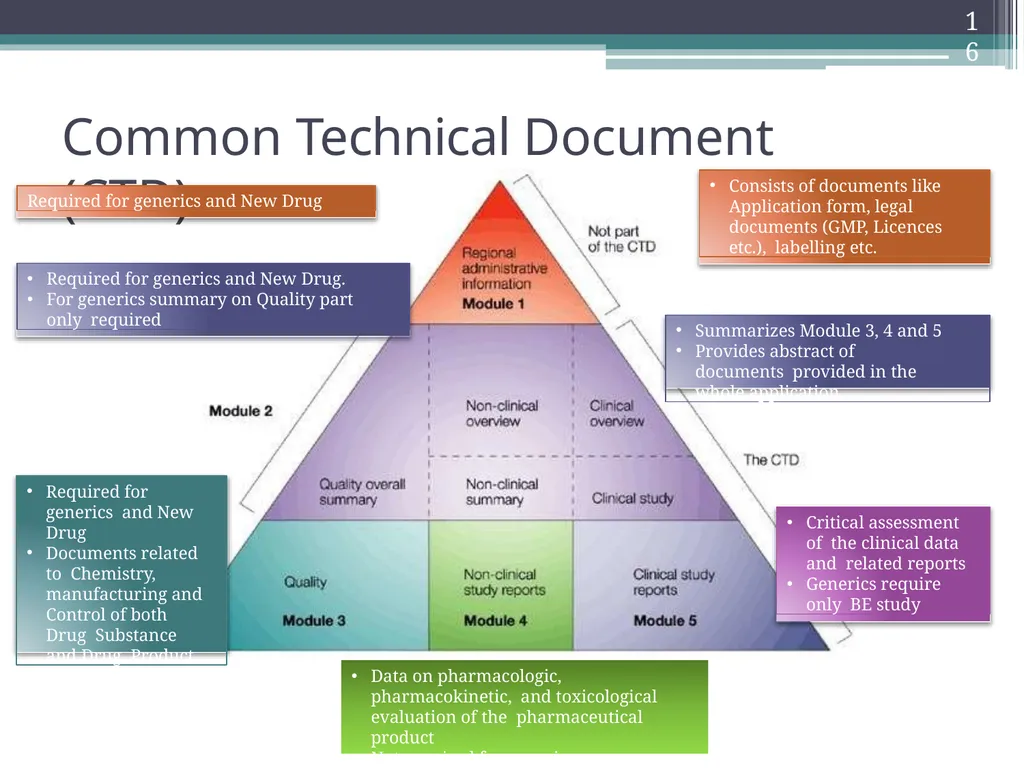 International Drug Regulatory Affairs 1 Regulatory - slide 12 of 67